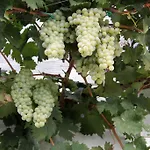 度假居 Il Trullo Di Giada E Mattia *