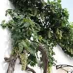 Il Trullo Di Giada E Mattia 度假居 *