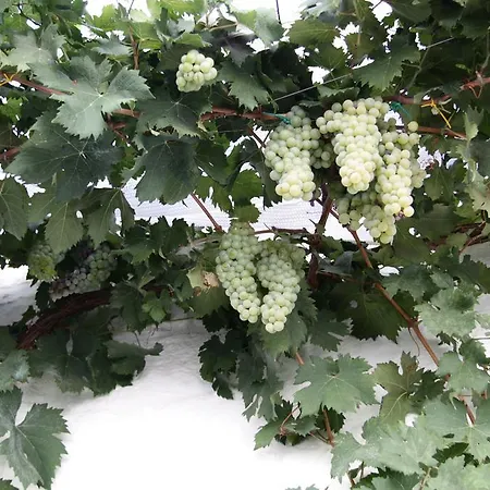 Il Trullo Di Giada E Mattia בית נופש