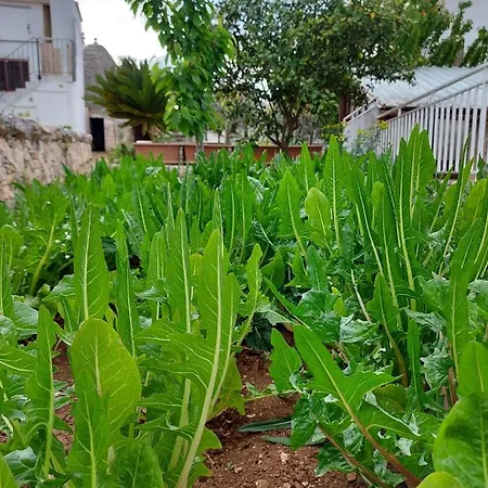 Il Trullo Di Giada E Mattia * 阿尔贝罗贝洛