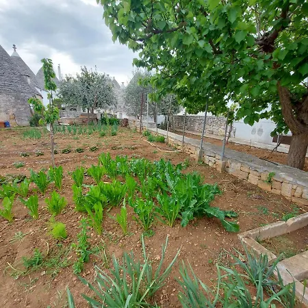 Casa vacanze Il Trullo Di Giada E Mattia