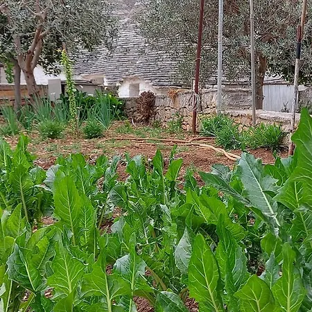 Il Trullo Di Giada E Mattia Hébergement de vacances