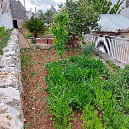 Il Trullo Di Giada E Mattia Hébergement de vacances *
