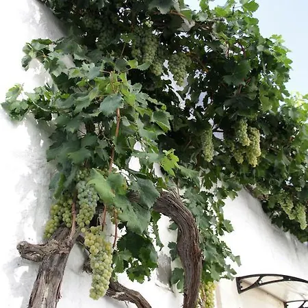 Il Trullo Di Giada E Mattia 펜션 *