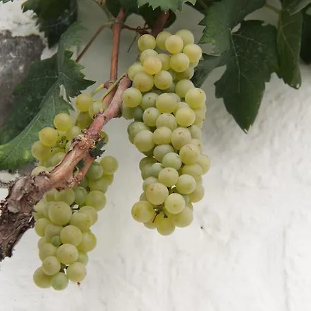 Il Trullo Di Giada E Mattia 알베르벨로