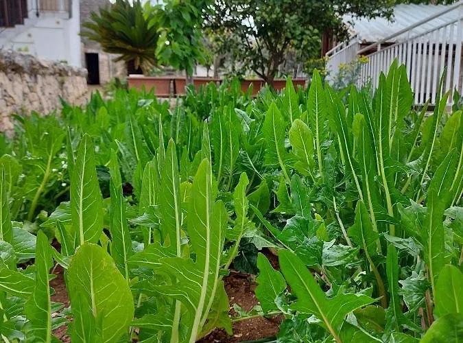 Il Trullo Di Giada E Mattia * אלברובלו