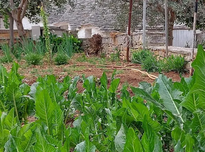 Il Trullo Di Giada E Mattia בית נופש