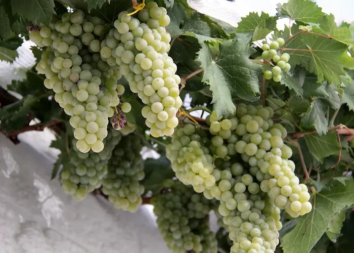 Il Trullo Di Giada E Mattia * אלברובלו