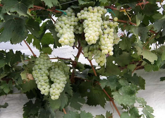 בית נופש Il Trullo Di Giada E Mattia *