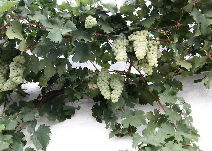 Il Trullo Di Giada E Mattia בית נופש