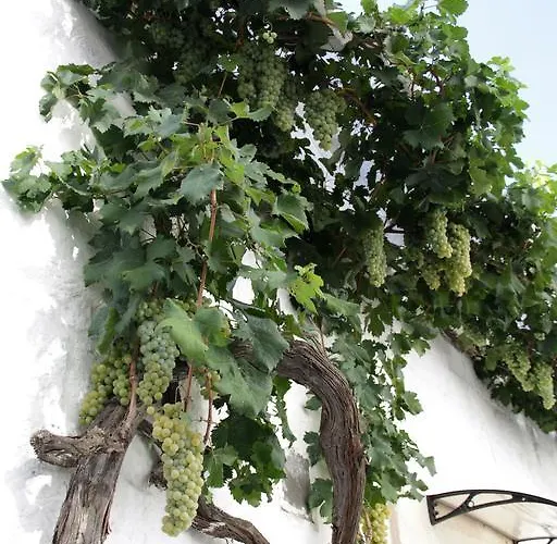 Il Trullo Di Giada E Mattia בית נופש *