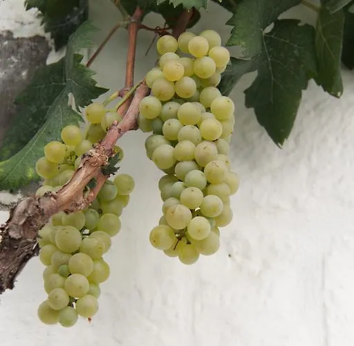 Il Trullo Di Giada E Mattia אלברובלו