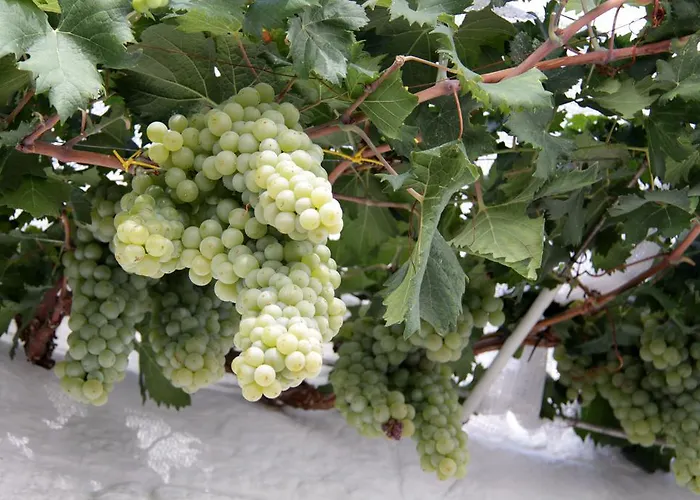 Il Trullo Di Giada E Mattia * אלברובלו